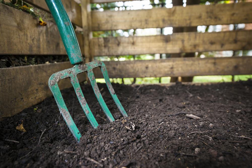 5 Reasons Why You Need a Compost Caddy