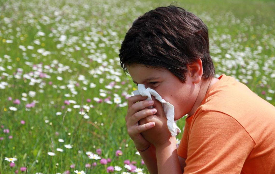 Five food items to fight pollen allergy