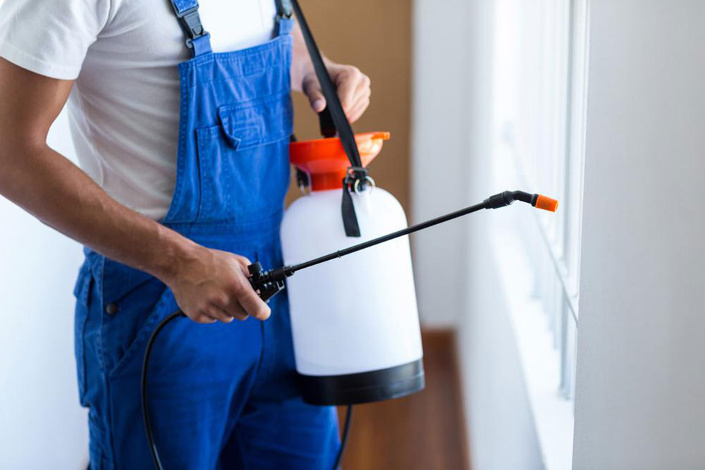 Popular pest control services in the country