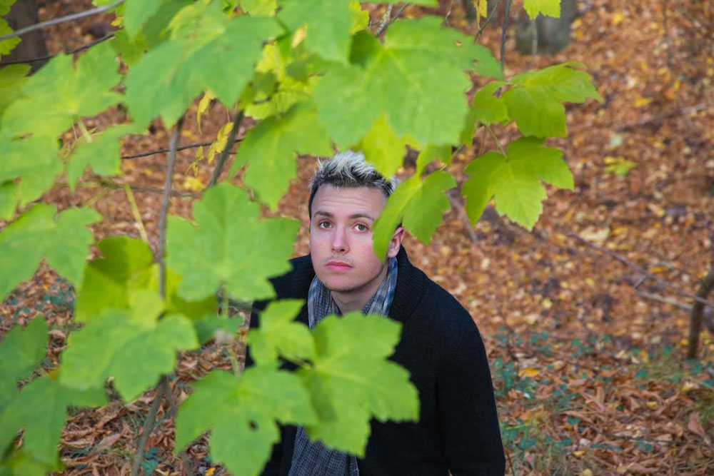 Pruning of maple trees