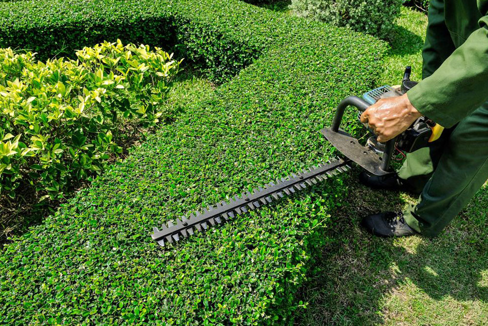 The best weed trimmers to beautify your garden