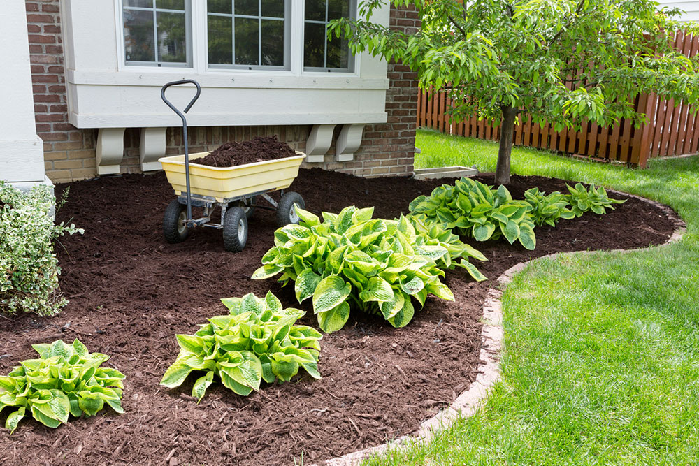 Advantages of buying rubber mulch in bulk