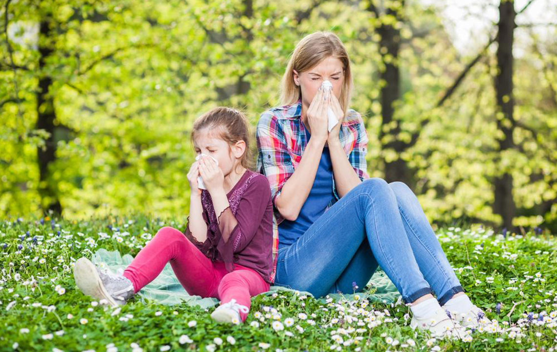 All You Need to Know about Pollen Allergy