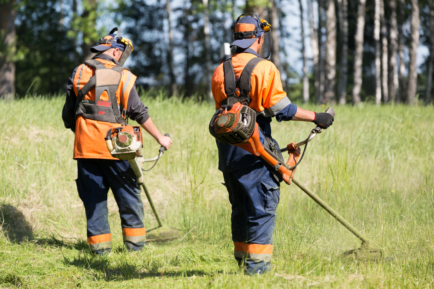 Features Of Different Types Of Weed Trimmers