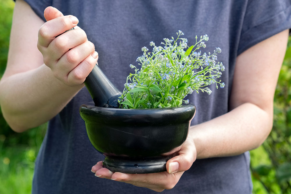 Steps to Grow Herbs Indoors in Water