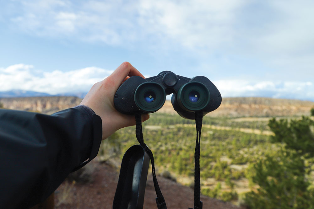 3 best binocular brands in the market