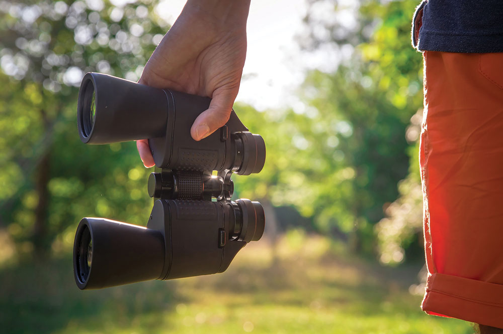 3 best binoculars available online