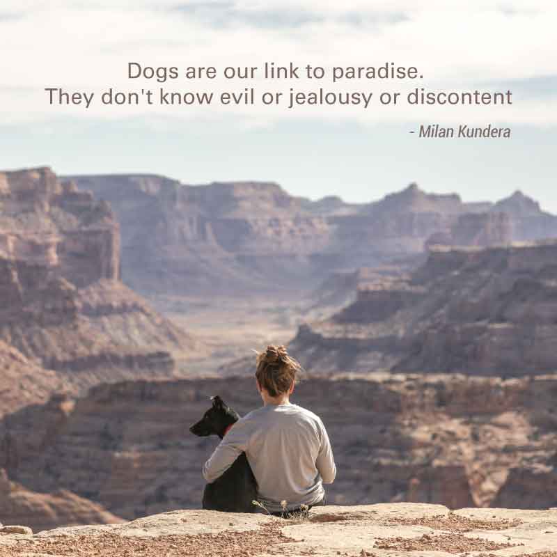 Dogs Are Our Link to Paradise. They Don&#8217;t Know Evil or Jealousy or Discontent