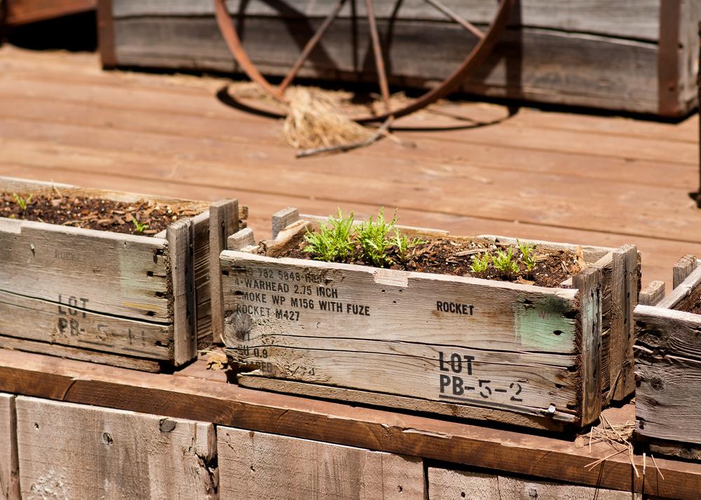 How to Build a Wooden Planter Box