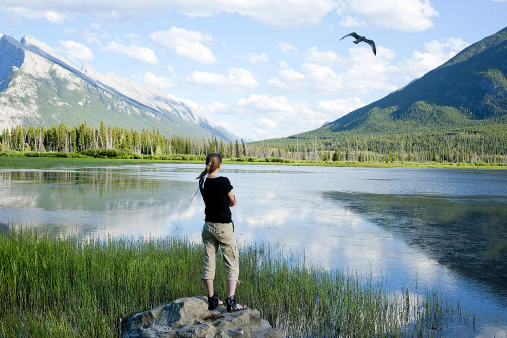 All You Need to Know to Have the Best Canadian Rockies Tour