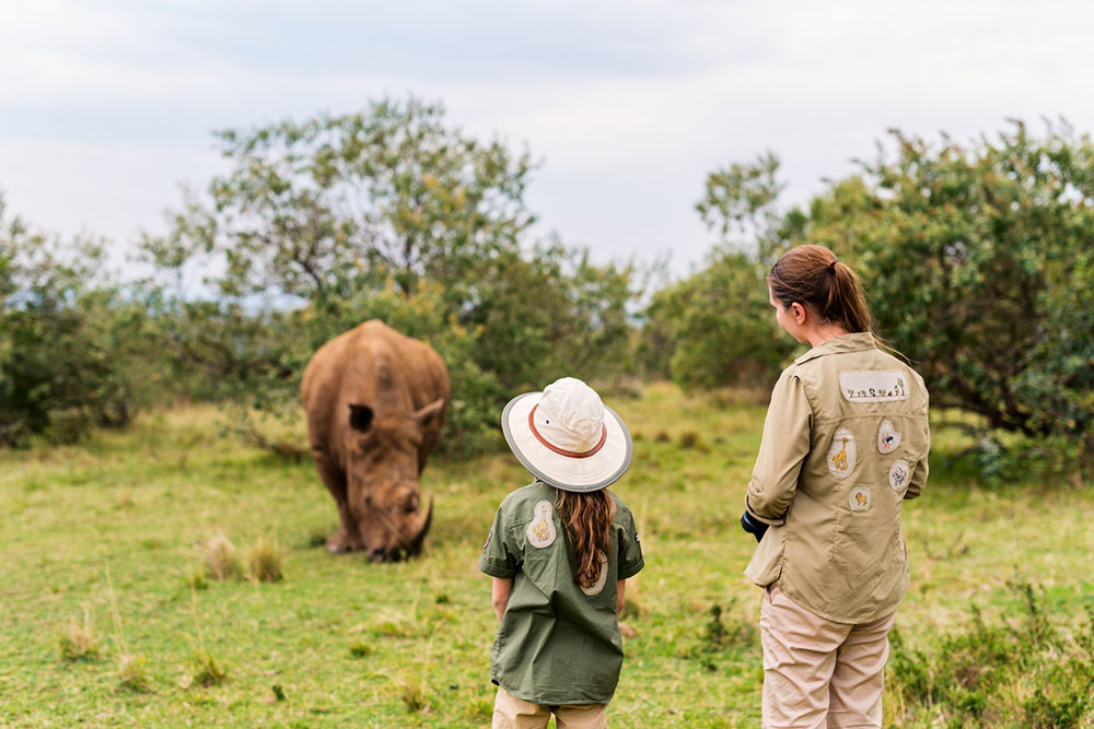 Masai Mara Safari &#8211; An Unforgettable Experience