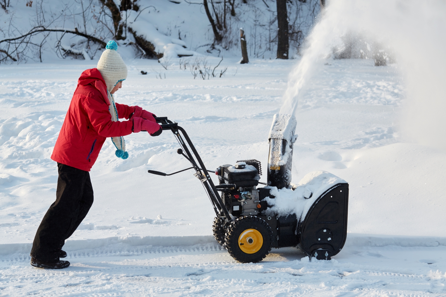 Top Snow Blower Deals for Black Friday 2024: A Comprehensive Guide