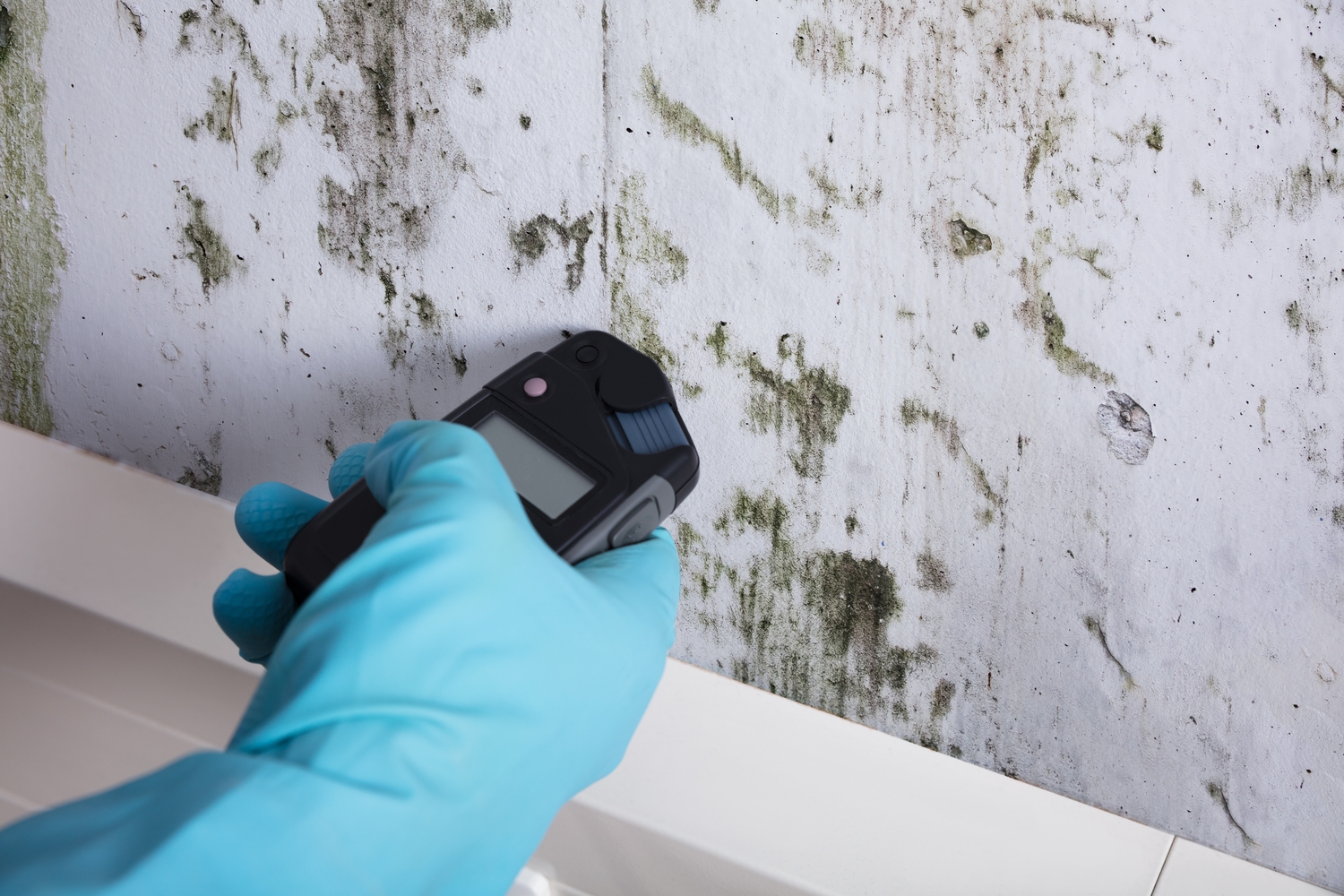 Home Tests for Mold: A Comprehensive Guide to Ensuring a Safe Living Environment